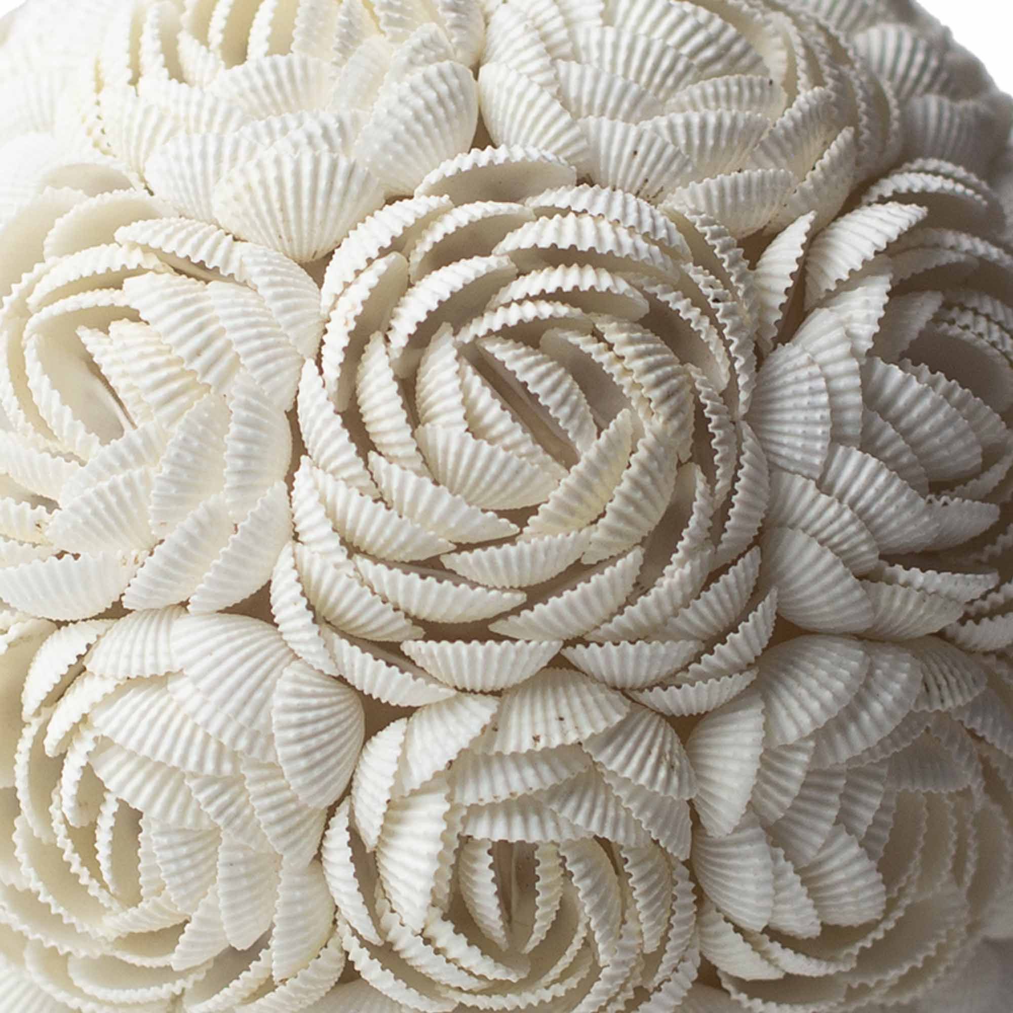 Lámpara Boho Sea Shell - Rosa Ovalada - 15cm - Imagen 3